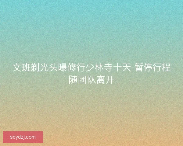文班剃光头曝修行少林寺十天 暂停行程随团队离开