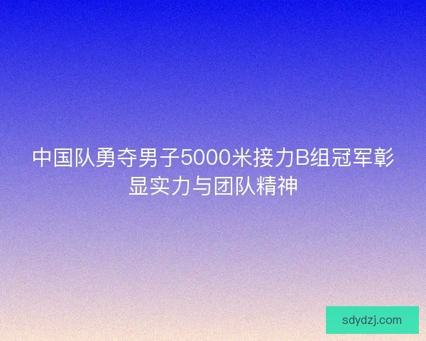 中国队勇夺男子5000米接力B组冠军彰显实力与团队精神